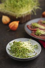 Slices of smoked salted meat with cilantro microgreen on black concrete background and red textile.