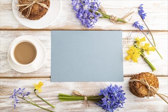 Blue paper sheet with oatmeal cookies, spring snowdrop flowers bluebells, narcissus and cup of