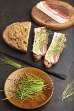 Bread sandwiches with jerky salted meat and lard with onion microgreen on black concrete background