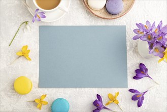 Blue paper sheet mockup with spring snowdrop crocus flowers and multicolored macaroons on gray