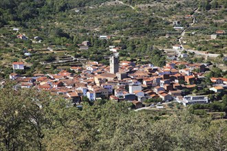 Looking down on rooftops of nucleated village Garganta la Olla, La Vera, Extremadura, Spain, Europe