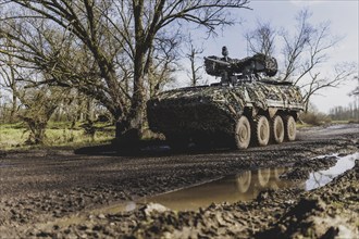 A Pandur II tank drives through a forest as part of the military exercise 'Wettiner Schwert' with