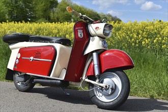 Vintage scooter, motorbike Troll 1 in spring in front of a rape field