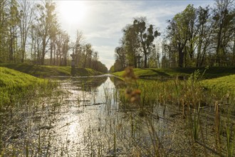 Canal between the Jagdschloss and the Fasanenschlösschen, Moritzburg, Saxony, Germany, Europe