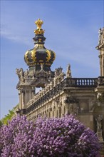 The lilacs bloom magnificently at the Zwinger moat, Dresden, Saxony, Germany, Europe