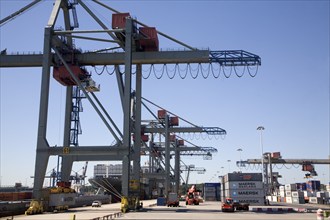 Container port quayside cranes, Port of Rotterdam, Netherlands