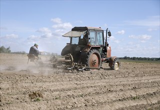 Tractor dragging a plume of dust behind it while working a potato field, Münchenberge, 20/05/2020