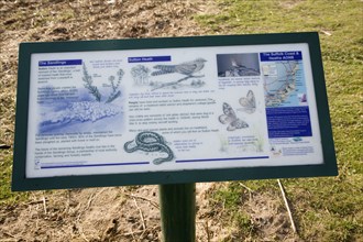 Information board about natural history of the Sandlings heathland at Sutton Heath, Suffolk,