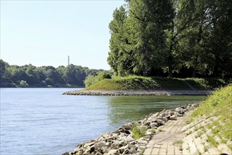 The park island in Ludwigshafen with the Rhine in the background