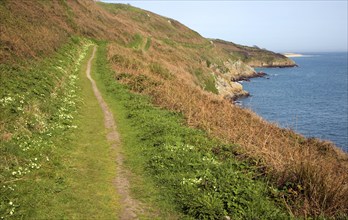 Footpath looking north Island of Herm, Channel Islands, Great Britain