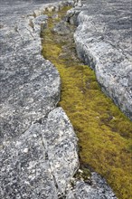 Huge crack, cleft, fissure in rock along the rocky coast of Boltodden in summer, Kvalvågen,