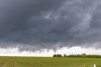 Heavy rain showers and thunderstorms over Possendorf in the Eastern Ore Mountains, Possendorf,