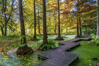 The Botanical Garden of the Ruhr University Bochum, in the district of Bochum-Querenburg, North