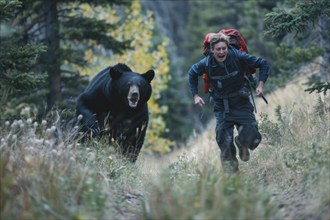 Life-threatening situation. A hiker flees in panic and fear from a full-grown black bear in the