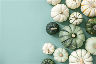 Top view of white and green pumpkins on mint green background with copy space. Generative Ai, AI