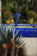 Fountain with water basin in the Majorelle Garden, botany, water, pond, flora, plant, botany,