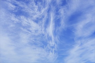 Blue sky with cirrus clouds, high cloud made of ice crystals in summer