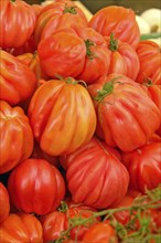 Vegetables Tomatoes Meat tomatoes Market stall Italy Venice