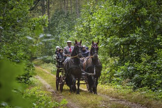 Presentation and route ride, all carriages in stylish tension, popular sporting event over approx.