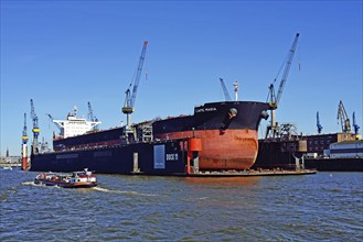 Europe, Germany, Hamburg, Elbe, harbour, floating dock, bulk carrier Cap Maria, 87440 Brt, in