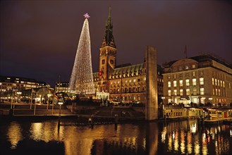 Europe, Germany, Hamburg, City Hall, Christmas, Tree of Lights, Hamburg, Hamburg, Federal Republic