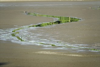 Drought, climate change, autumn, Germany, Europe