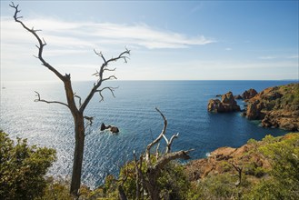 Coast and red rocks, Cap du Dramont, Massif de l'Esterel, Esterel Mountains, Département Var,