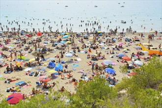 A crowded beach with many people sunbathing and swimming, colorful umbrellas and the sea in the