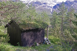 Rustic wooden hut in the middle of a green forest with mountains in the background, typical holiday