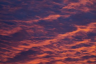 Reddish orange cloud structures, dawn