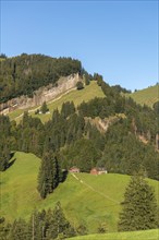 Urnäsch, mountain pasture, forest, rock face, path, Canton Appenzell, Ausserrhoden, Appenzell Alps,