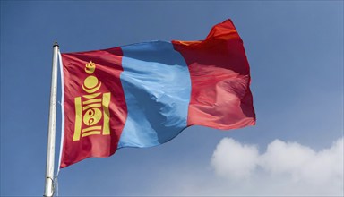 Flags, the national flag of Mongolia flutters in the wind