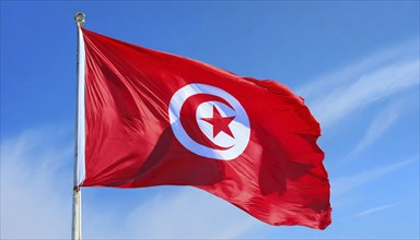 Flags, the national flag of Tunisia flutters in the wind