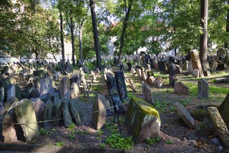 Old Jewish Cemetery, Prague, Czech Republic, Europe