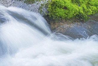 Fast flowing water flows over moss-covered stones, boulders, in a small river, rapids, riverbed