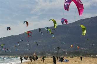 Coastline, countless kitesurfers, hotspot for surfers, Tarifa Beach, Tarifa, Cadiz, Costa de la