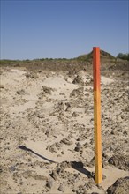 Red and orange painted wooden surveyor's stake or marker in sandy soil indicating a boundary line