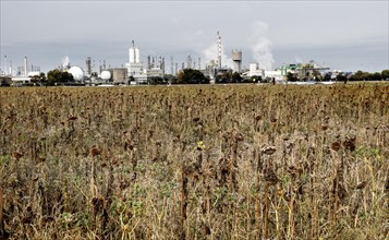 BASF plant in Ludwigshafen. BASF SE, based in Ludwigshafen am Rhein, is the world's largest