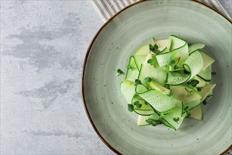 Spring, green salad, cucumber with apple, top view, close-up, no people, microselen radish, healthy