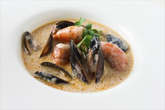 Seafood, shrimp and mussels, in creamy garlic sauce, homemade, no people