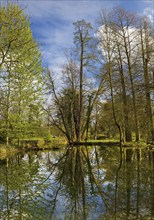 Paffendorf Castle, Castle Park, Route of Garden Art between the Rhine and Meuse with forest nature