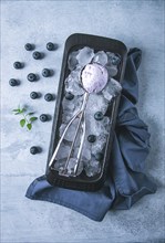 Blueberry ice cream, container with a spoon, on a gray table, fresh blueberries