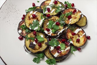 Fried eggplant, with white sauce, pomegranate seeds, top view, no people