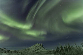 Green Northern Lights (Aurora borealis) over snowy mountains, Brooks Range, Alaska, USA, North