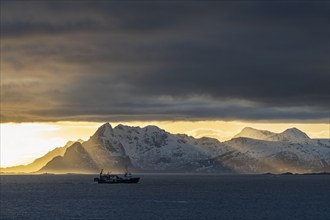 Light mood over steep mountains, coast, ship, view of Vestvagoya, Lofoten, Norway, Europe