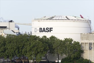 BASF, Lugwigshafen am Rhein, industrial area, Mannheim, Baden-Württemberg, Germany, Europe