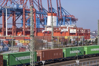 Port of Hamburg, Waltershofer Hafen, container ships, goods train with containers and container