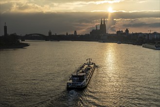 The Rhine near Cologne, sunset, Cologne Cathedral, cargo ship, North Rhine-Westphalia, Germany,