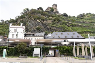 Upper Middle Rhine Valley, railway line on the right bank of the Rhine, goods train line, up to 400