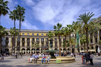 Placa Real, Barri Gòtic, Gothic Quarter, Barcelona, Catalonia, Spain, Europe